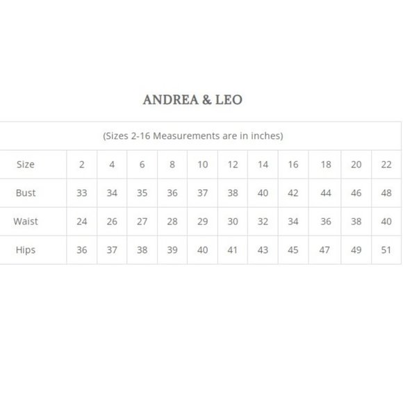 NEW LONG SLEEVELESS EMBROIDERED A-LINE TULLE DRESS WITH ZIPPER BACK AL A1045C - Picture 3 of 9